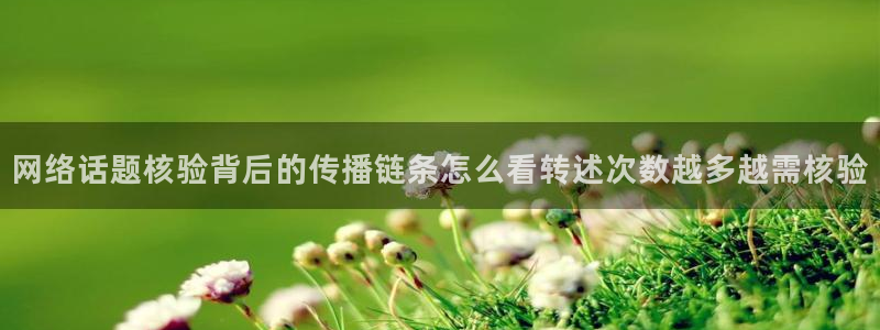 91吃瓜最新事件：网络话题核验背后的传播链条怎么看转述次数越多越需核验