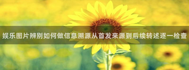 91吃瓜在线观看最新地址入口：娱乐图片辨别如何做信息溯源从首发来源到后续转述逐一检查
