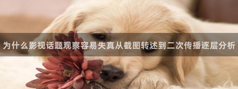 91吃瓜最新动态：为什么影视话题观察容易失真从截图转述到二次传播逐层分析