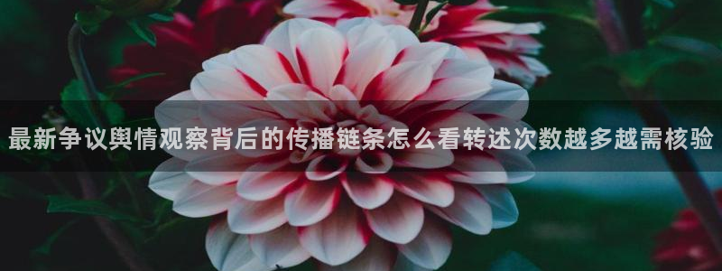 91吃瓜在线观看首页入口：最新争议舆情观察背后的传播链条怎么看转述次数越多越需核验