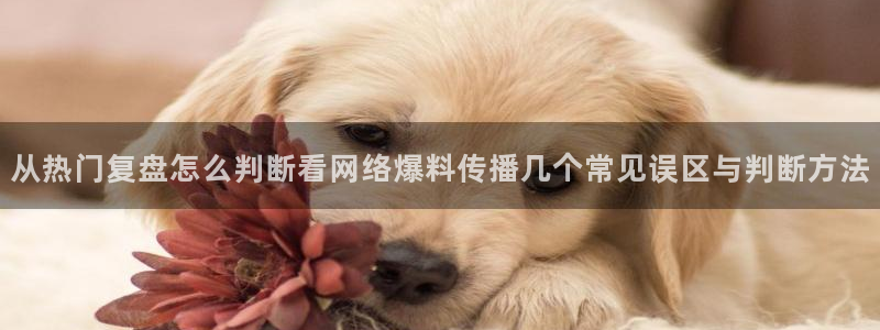 91吃瓜在线入口：从热门复盘怎么判断看网络爆料传播几个常见误区与判断方法