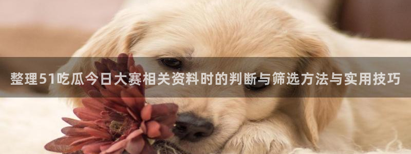 91吃瓜在线观看平台:整理51吃瓜今日大赛相关资料时的判断与筛选方法与实用技巧