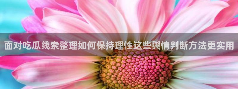 91吃瓜网页地址:面对吃瓜线索整理如何保持理性这些舆情判断方法更实用