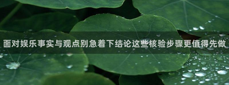 91吃瓜热门事件大全:面对娱乐事实与观点别急着下结论这些核验步骤更值得先做