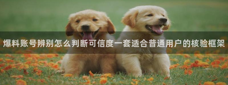 吃瓜网站入口:爆料账号辨别怎么判断可信度一套适合普通用户的核验框架