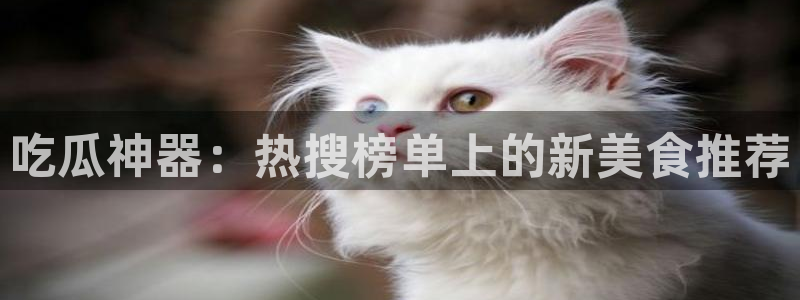 吃瓜网站导航